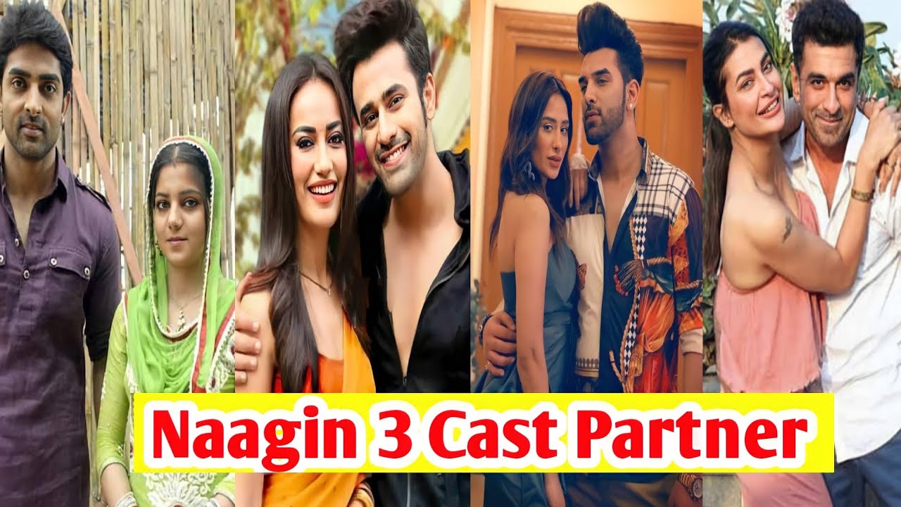 नागिन 3 सीरियल से मशहूर हुए कलाकारों के रियल लाइफ़ पार्टनर। naagin season 3 cast partner