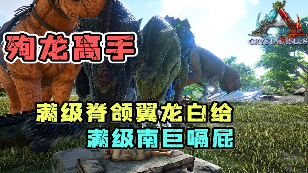 殉龙高手系列：殉龙高手果然名不虚传，殉满级南巨也不例外！【忽略菌Game】