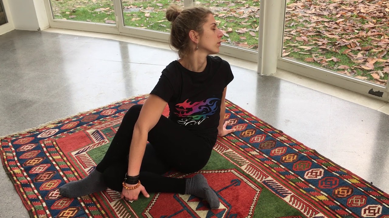 Shamanic Yoga - The fluid sequence of the evening