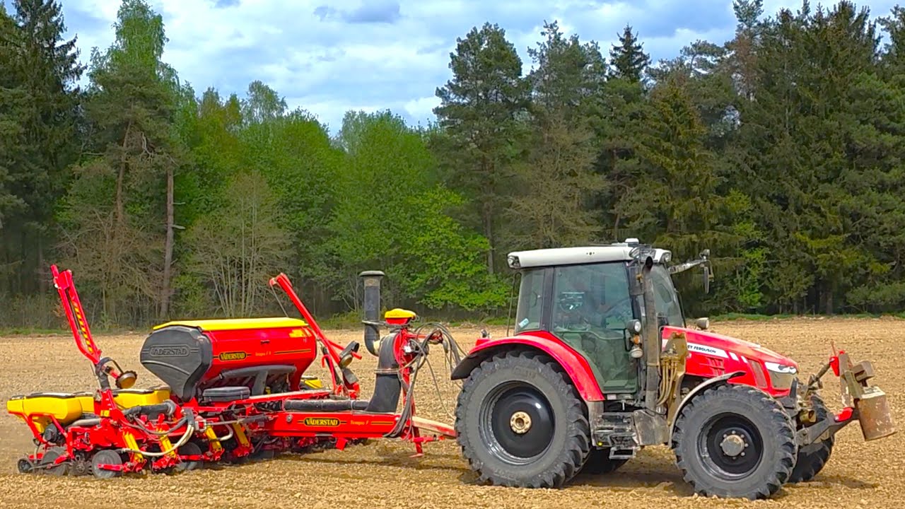 Massey Ferguson 5613 Dyna-6 beim Mais legen mit 8 -Reihen Väderstad Tempo F8-Fourcade E-Services!