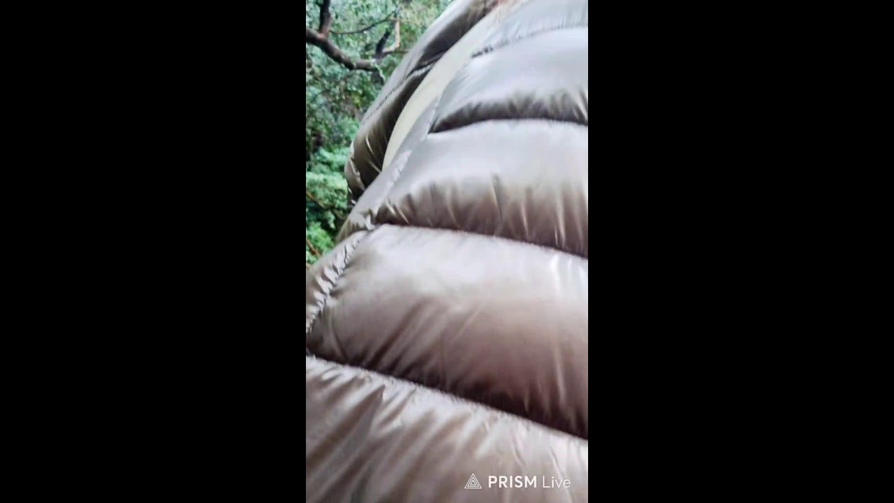 태기산가야 tv 라이브