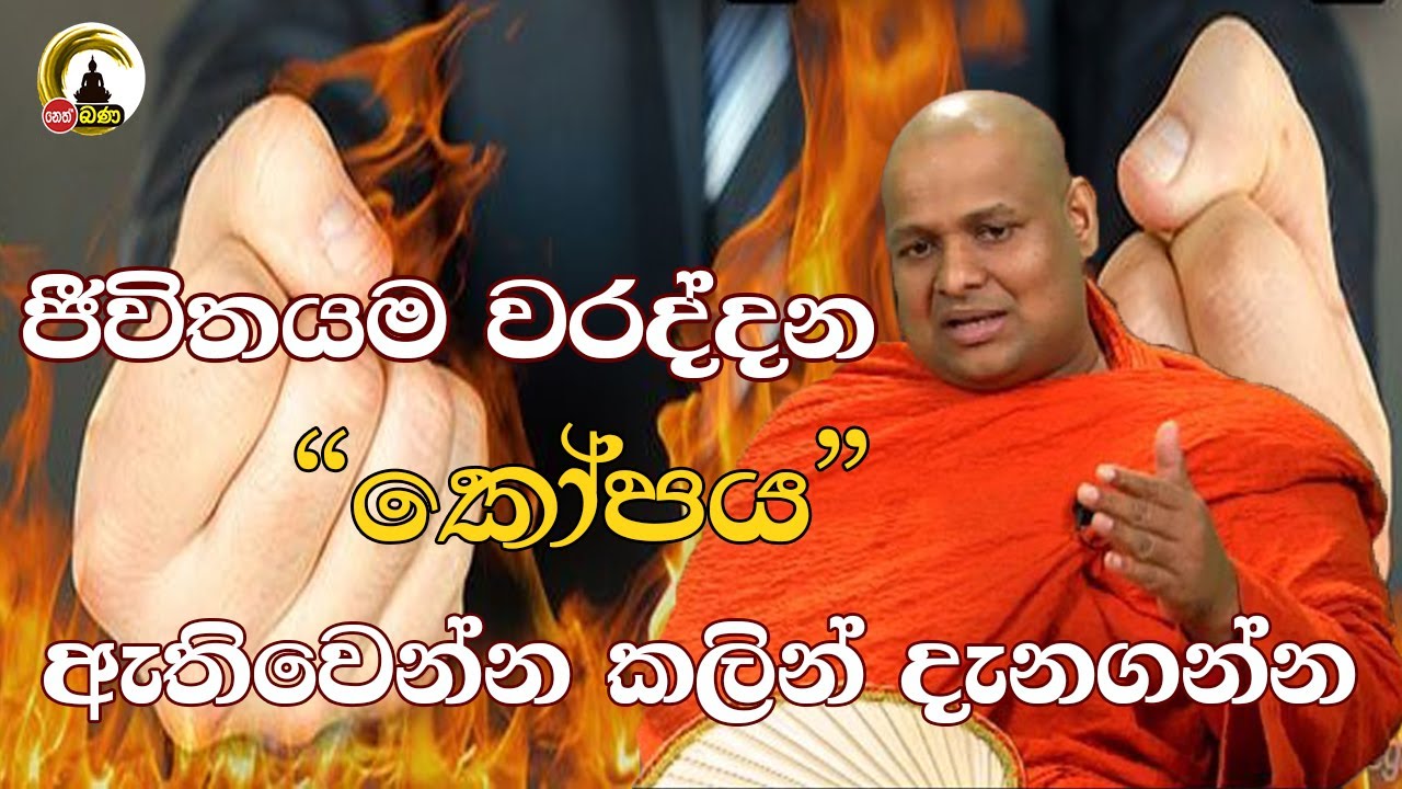 Kuttikulame Pemalankara Thero l Meth Neth Pamula l 2025 03 30