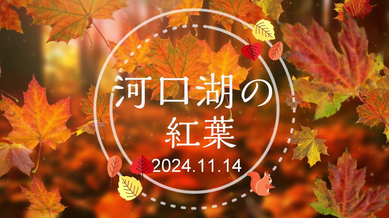 河口湖の紅葉2024.11.14
