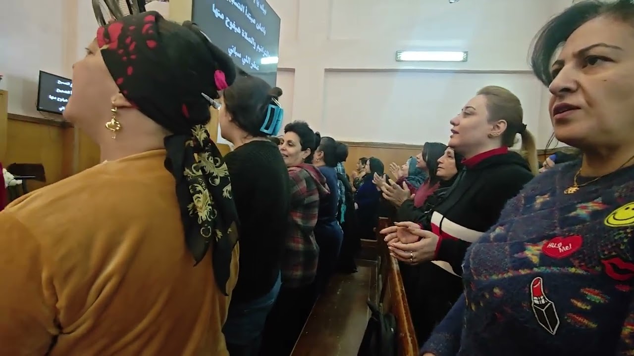 بيك افراحي دكتور الفريد نشأت