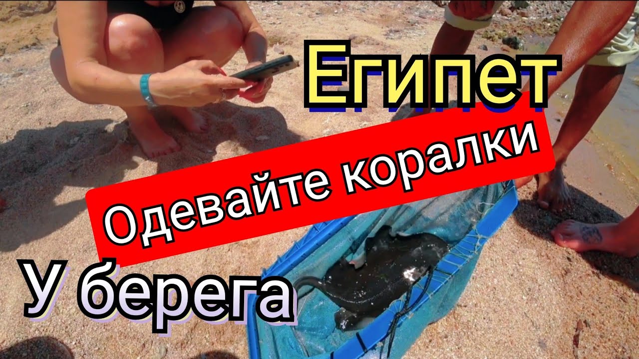 🇪🇬ЛЕТО В ЕГИПТЕ/ Уезжаю из White Valley Palace  Хургада / Жильё в Хургаде/ Аренда и покупка