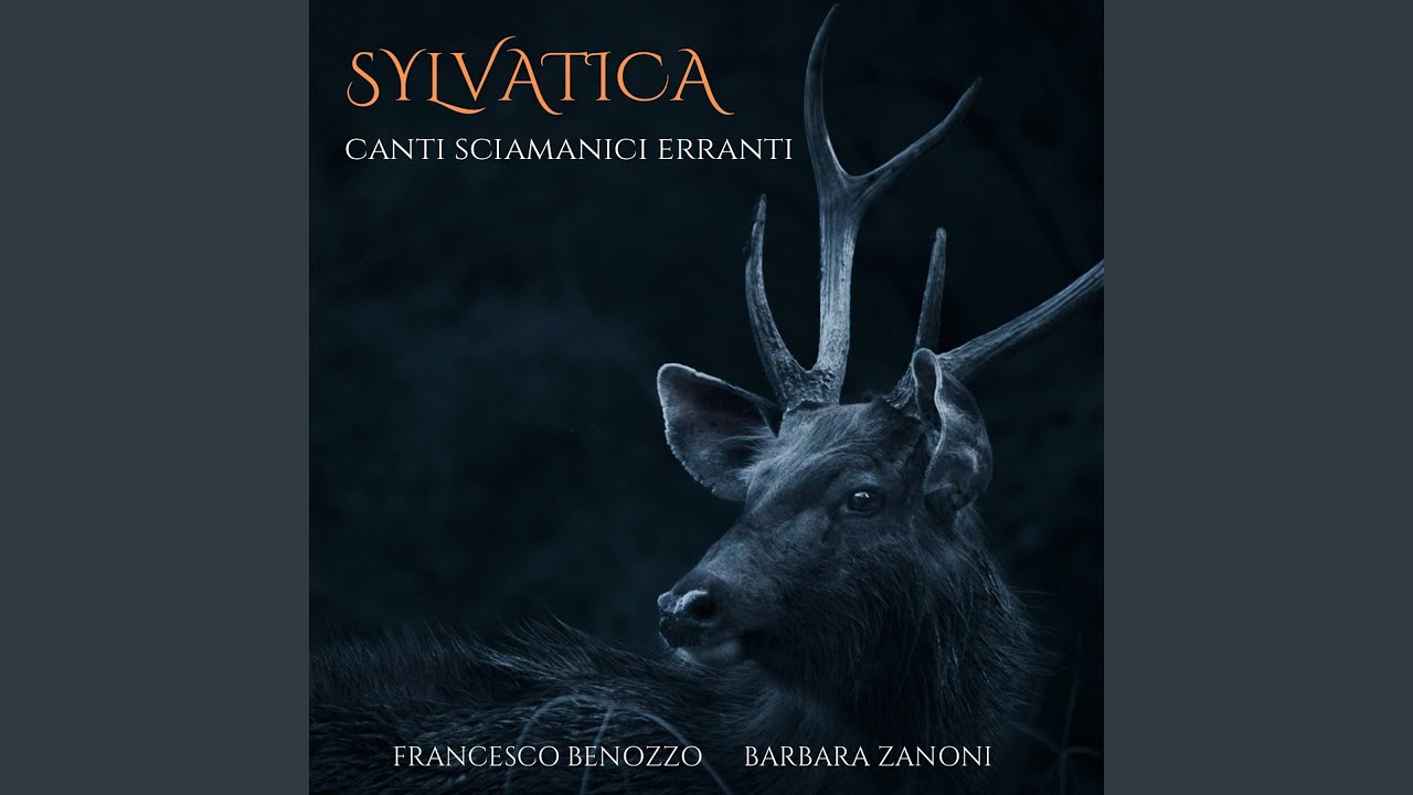 Canto della balena