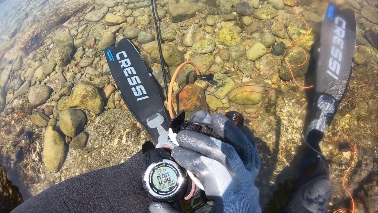 【魚突き】梅雨休み