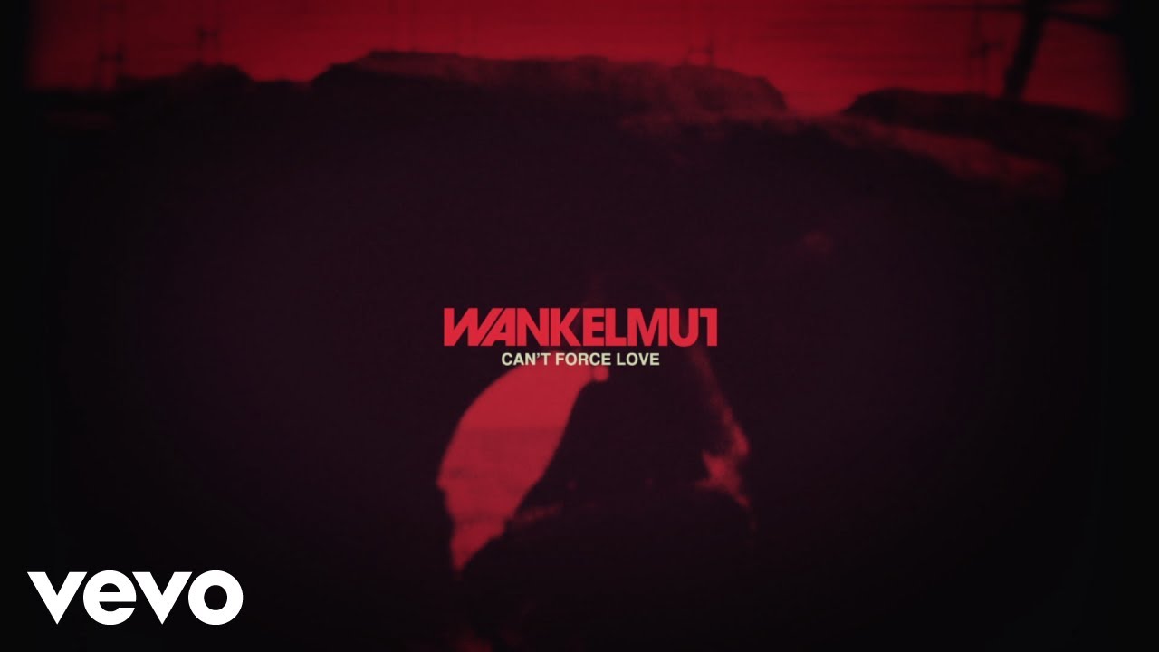 Wankelmut - Can't Force Love (Lyric Video)