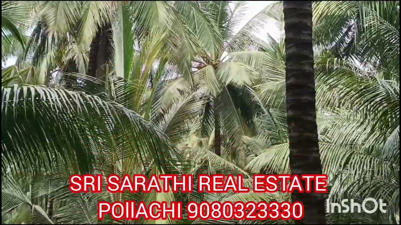 93)9ஏக்கர் தென்னை பொள்ளாச்சி ஏரியா