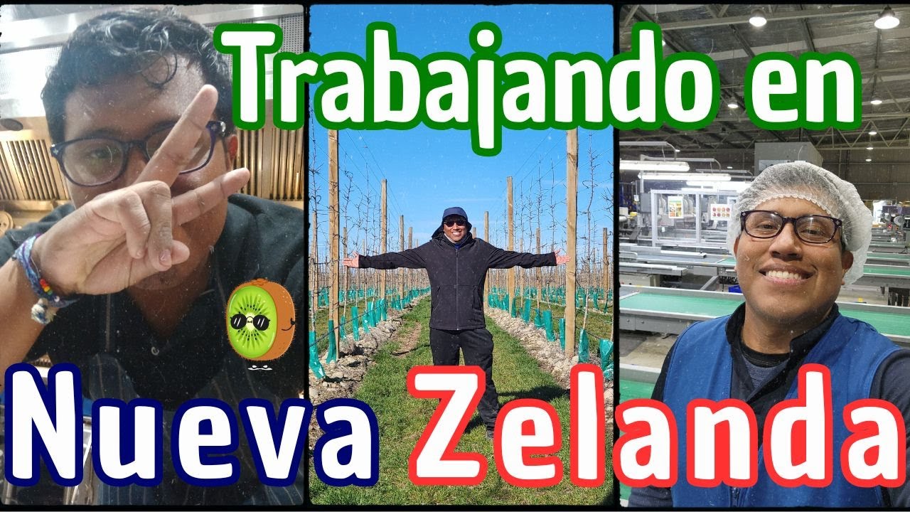 TRABAJAR EN NUEVA ZELANDA | Temporada de kiwi, taxes, extensión, tips | WHV NZ |@esewacho7​