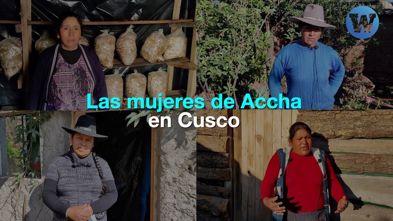 La independencia económica de las mujeres de Accha, Cusco