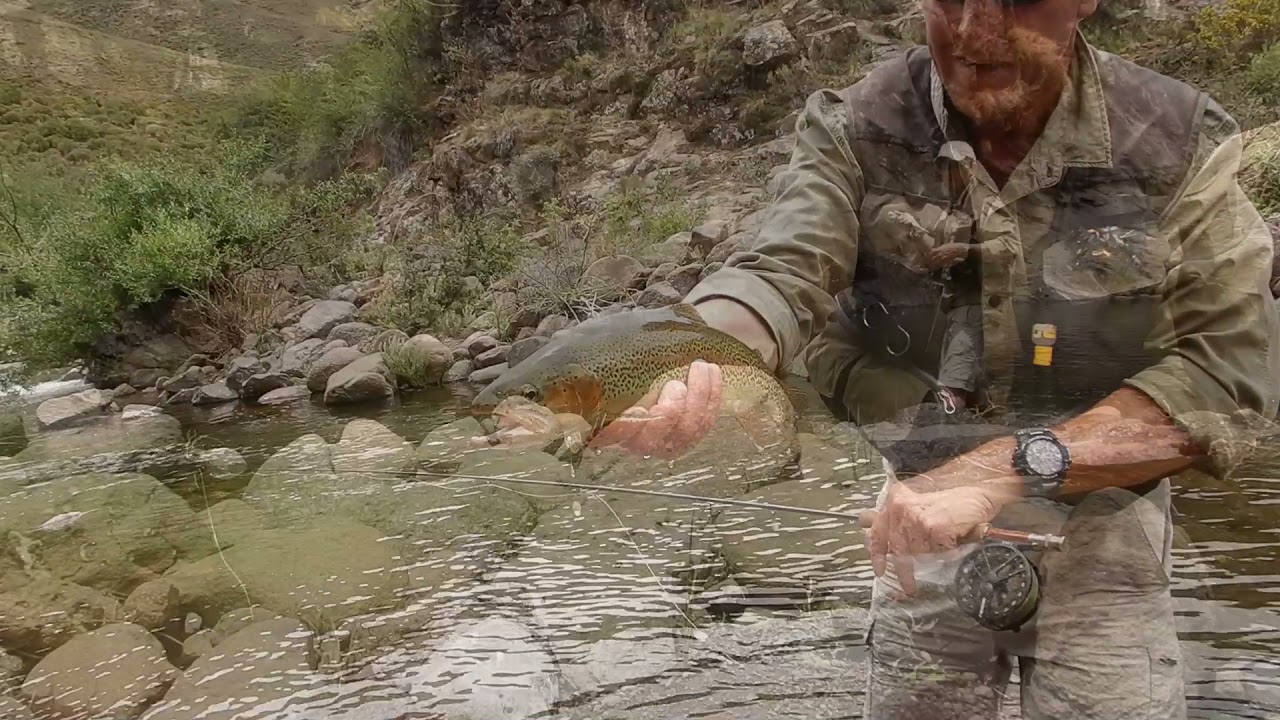 Small stream fly-fishing fun in South Africa