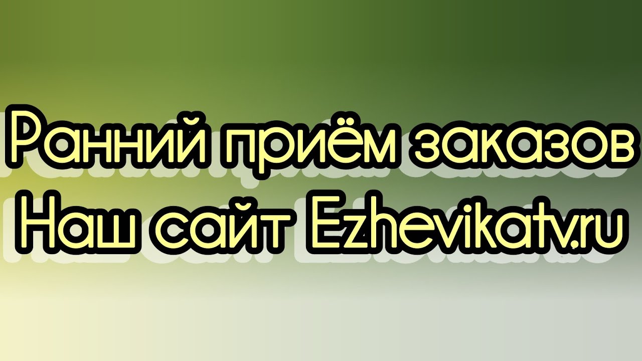 ‼️Ранний заказ и ранняя отправка ОБРЕЗАННЫХ прошлогодних саженцев ежевики‼️ Сайт Ezhevikatv.ru