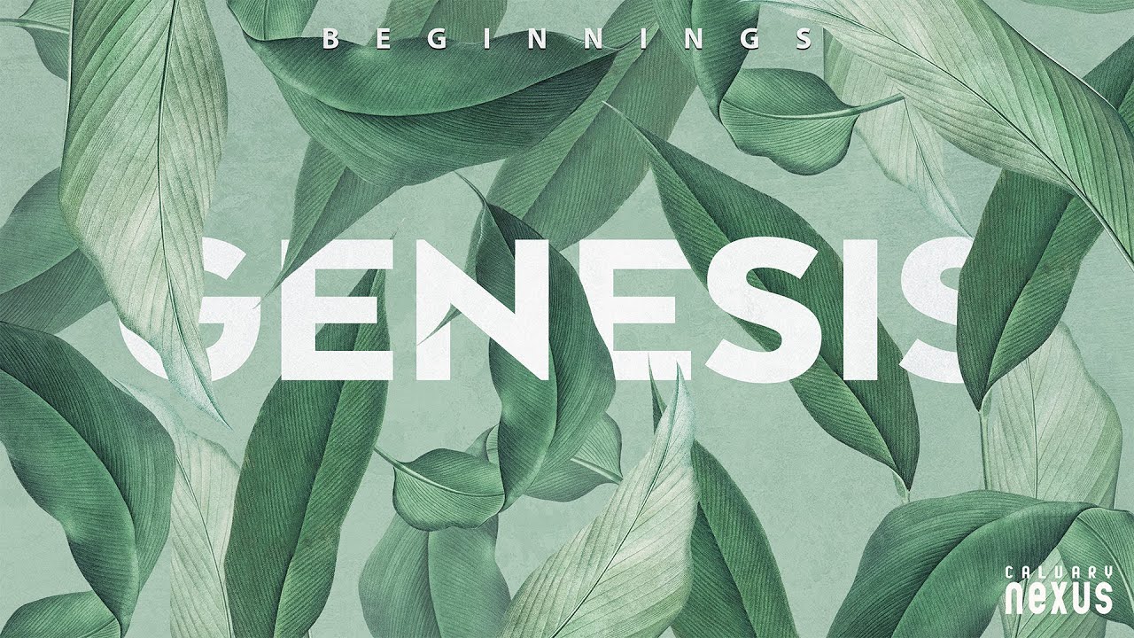 Бытие 35:1-29 :: «Начало возвращения в святое место»