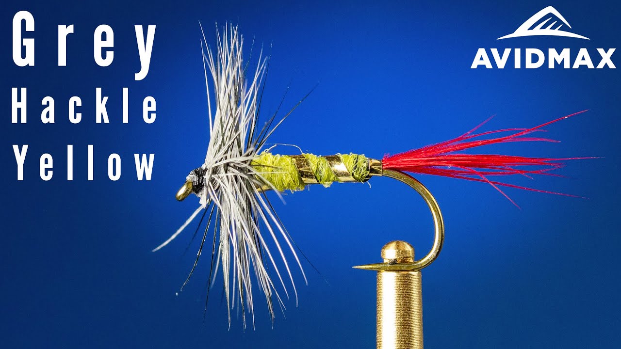 How to tie the Grey Hackle Yellow | AvidMax Fly Tying Tuesday Tutorials