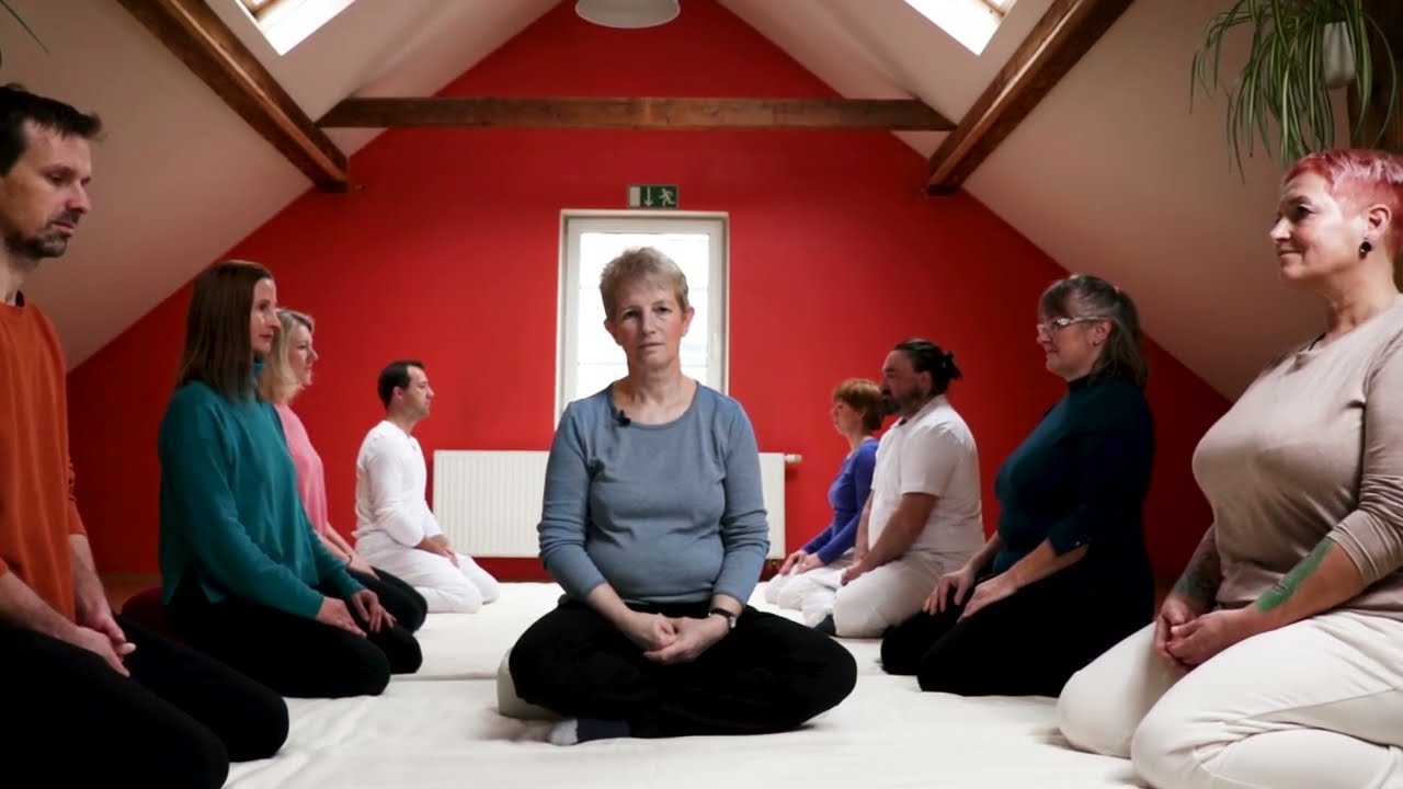 Ikigai und ShenDo Shiatsu