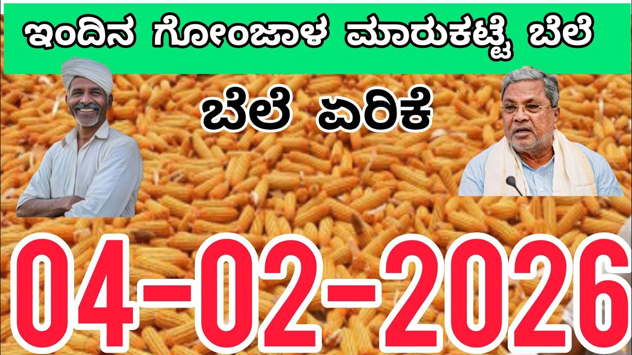 ಗೋಂಜಾಳ ಬೆಲೆ04.02.2026ರ ಮಾರುಕಟ್ಟೆಯ ಬೆಲೆ ಇದಾಗಿದೆ #kannada #mazie #todaymarket