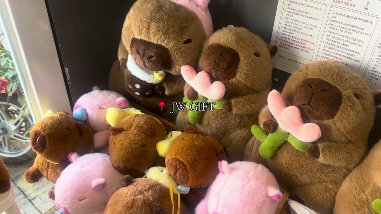 뗏기간 나트랑 브이로그 | 마담프엉, 포피스, 담시장, 안토이, 멜리아빈펄깜란리조트, 슈렉, 하나약국, 짜오마오, 올라카페, 그릭수블라키, 반미판, JWgift, 베나자