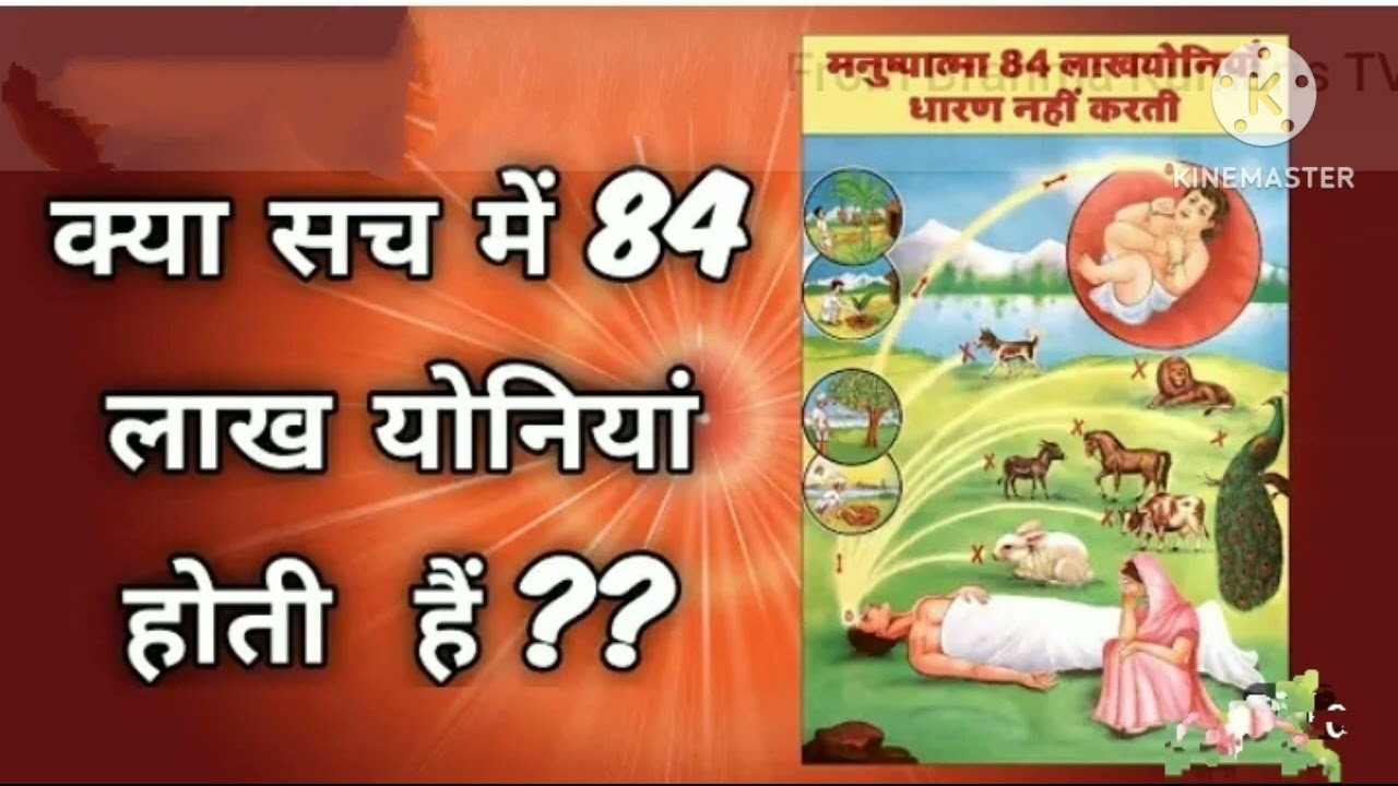 Day -3( part 3)  84 lakh yonia nahi hai?? 7 days Rajyog meditation course of Brahma Kumari.