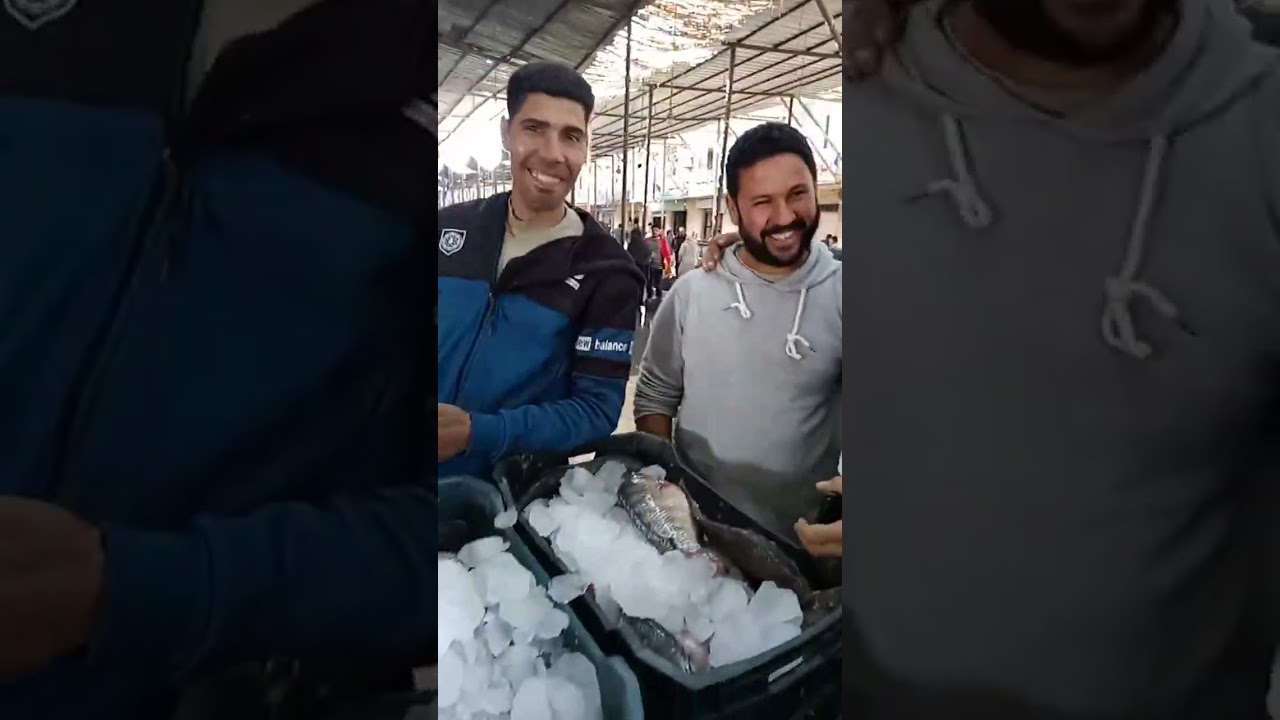 2500 طن يوميا ببورصة أسماك كفر الشيخ بتغذي أسواق المحافظات من البلطي والبوري