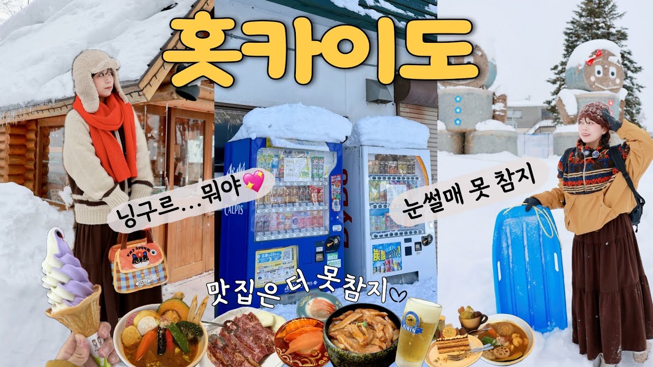홋카이도🇯🇵몽환적인 닝구르 테라스와 사계채의 언덕 눈썰매❄️먹고 놀고 쇼핑하는 완벽한 아사히카와 여행 [토리톤 스시, 카미카와 신사, 닝구르 테라스, 사계채의 언덕, 이온몰 쇼핑]