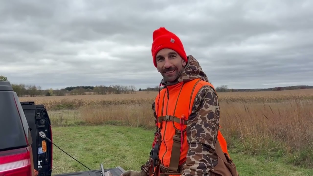 Wild October Wisconsin Pheasant Hunt #PheasantHunting  #UplandBirds  #PheasantSeason #UplandGame