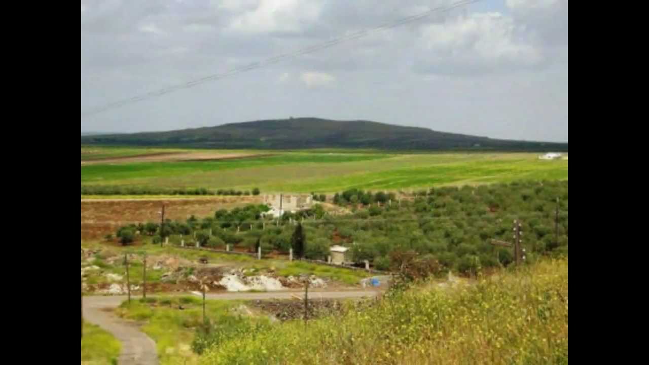 يا ديرتي يا ديرتي وداعاُ يا حبيبتي. يحيى القنطار
