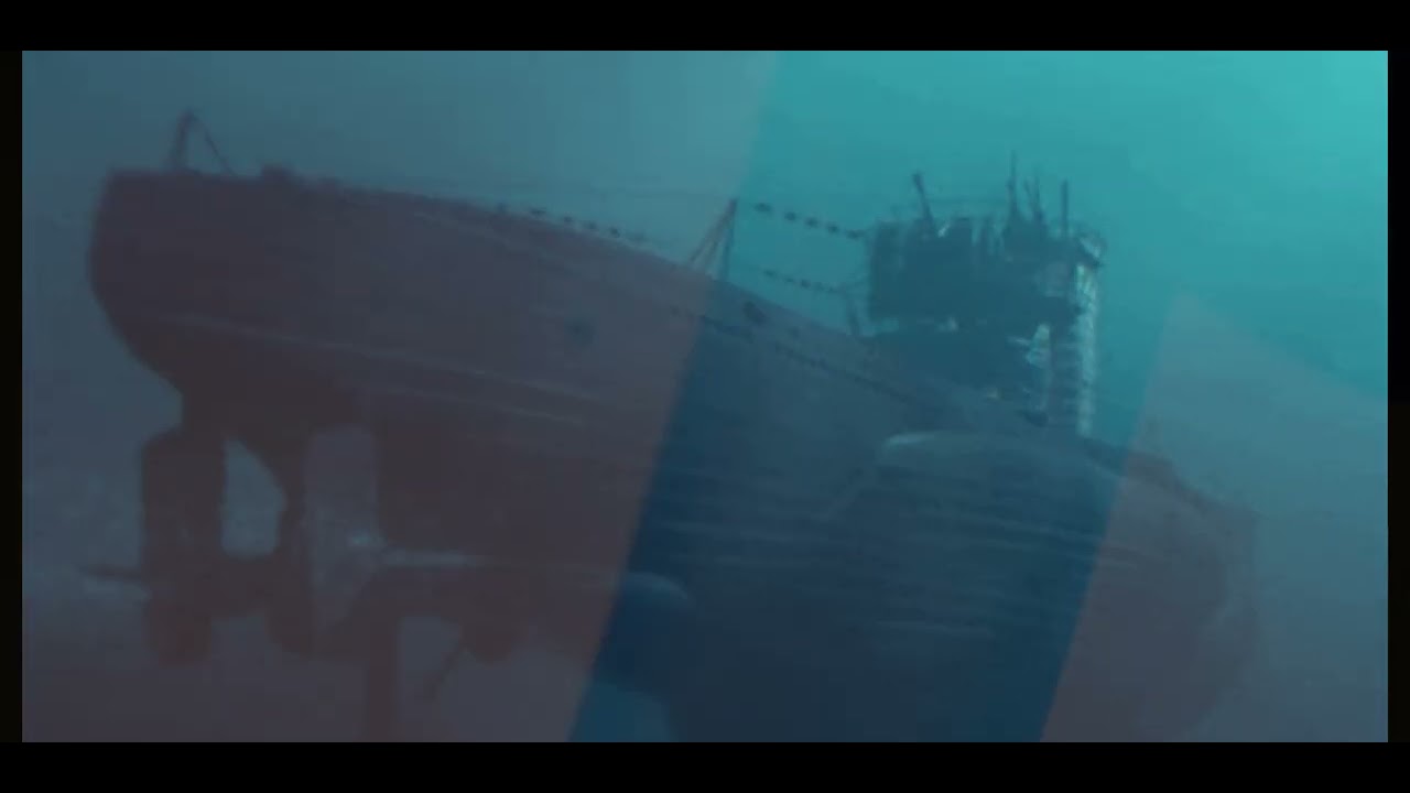 Sea King