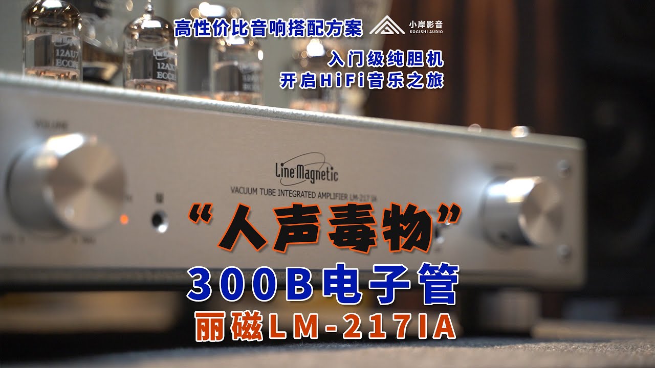 丽磁300B电子管“人声毒物”HiFi级纯胆机