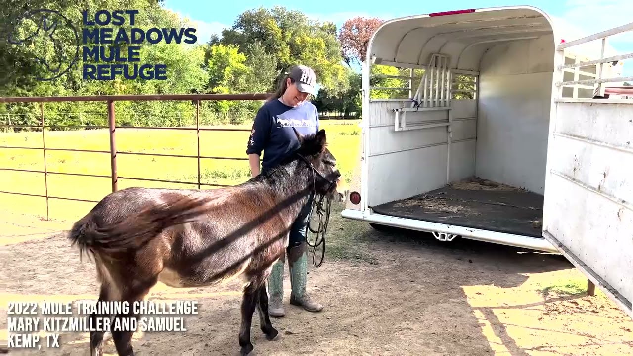 Lost Meadows Mule Refuge 2022 Mule Training Challenge, Mary Kitzmiller and Samuel