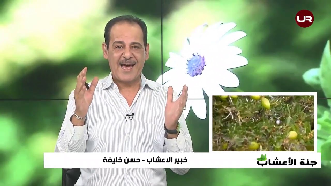 زيت الارجان المغربى (الذهب السائل) السحري للجسم وللبشرة ،والشعر  خبير الاعشاب حسن خليفة