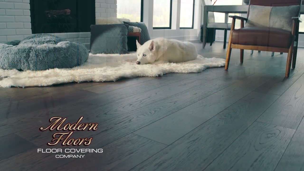 Modern Floors Holiday Commercial