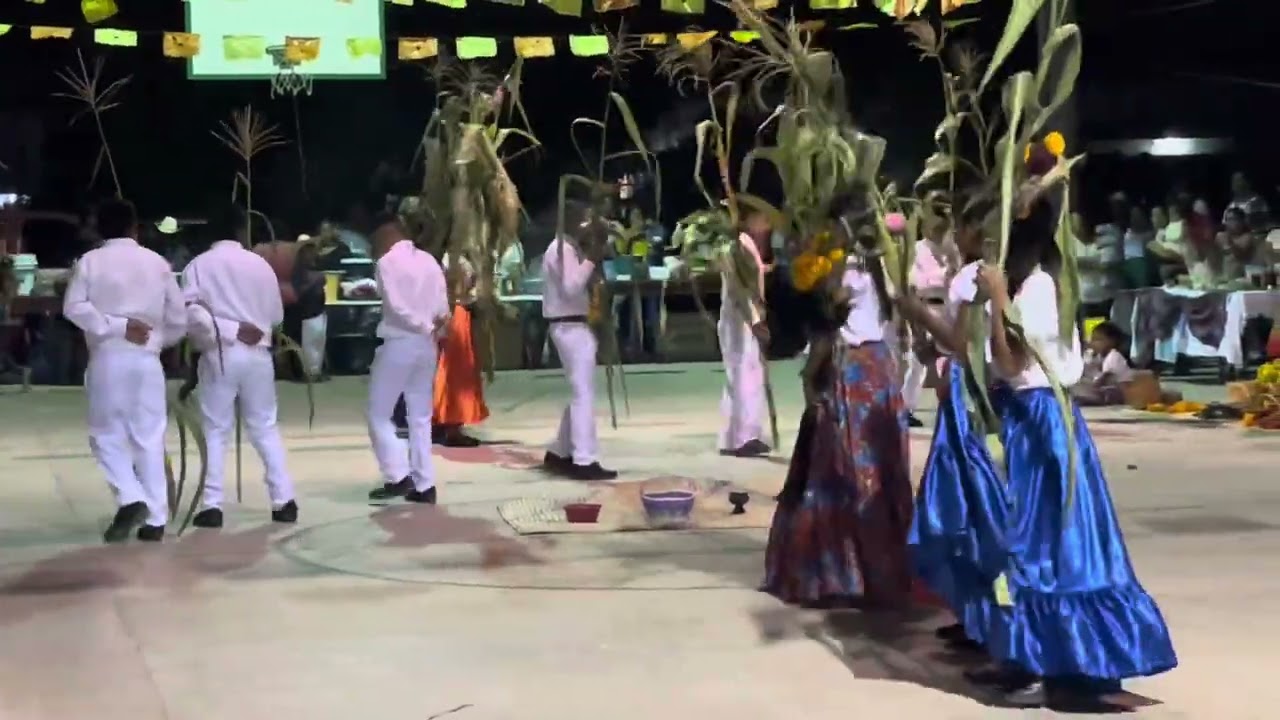 Parte5 REGI&Oacute;N DE LA MONTA&Ntilde;A DANZA DE LA MILPA san Miguel comitlipa Guerrero 🇲🇽