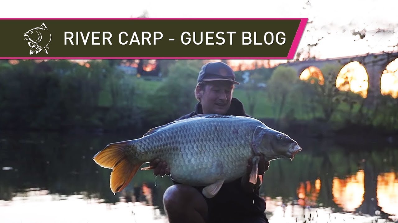 French Social and a Huge River Carp - Jamie Bellhouse Guest Blog
