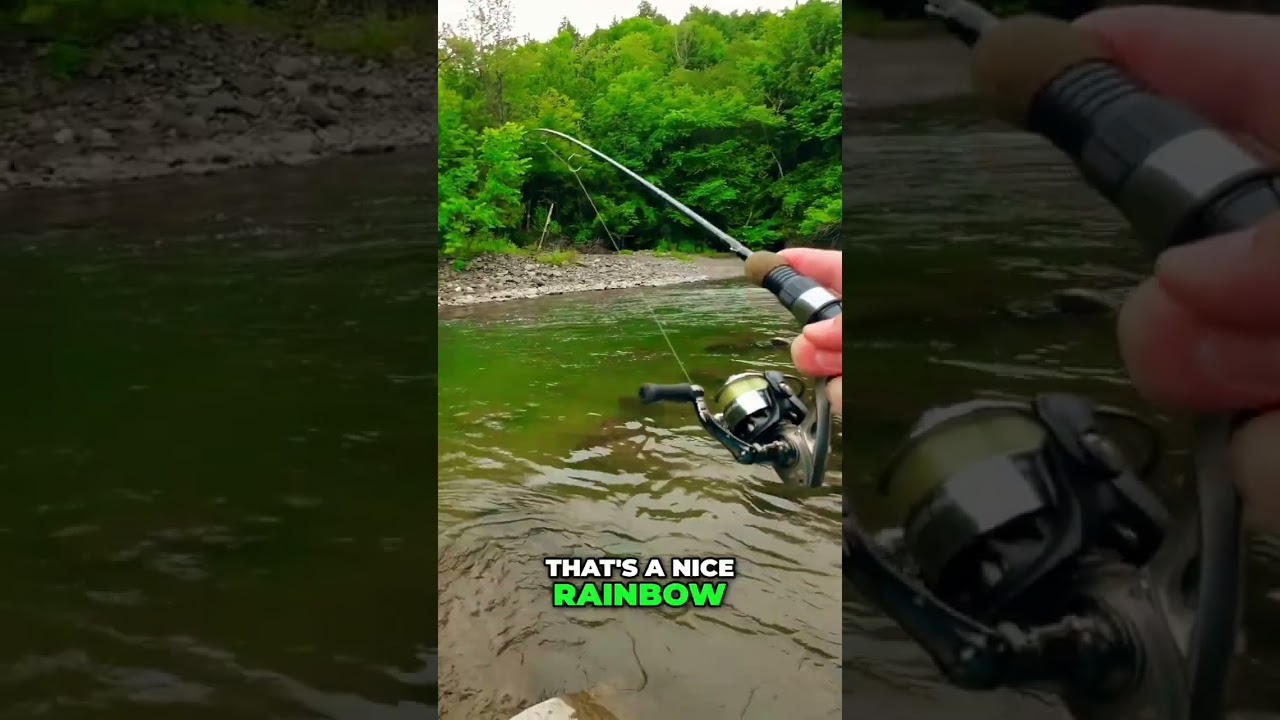 🎣 Rainbow Trout Caught! 🤯 Amazing Fishing! 🌟