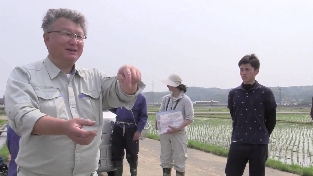 【生産者紹介】石川県で脱ネオニコした生産者