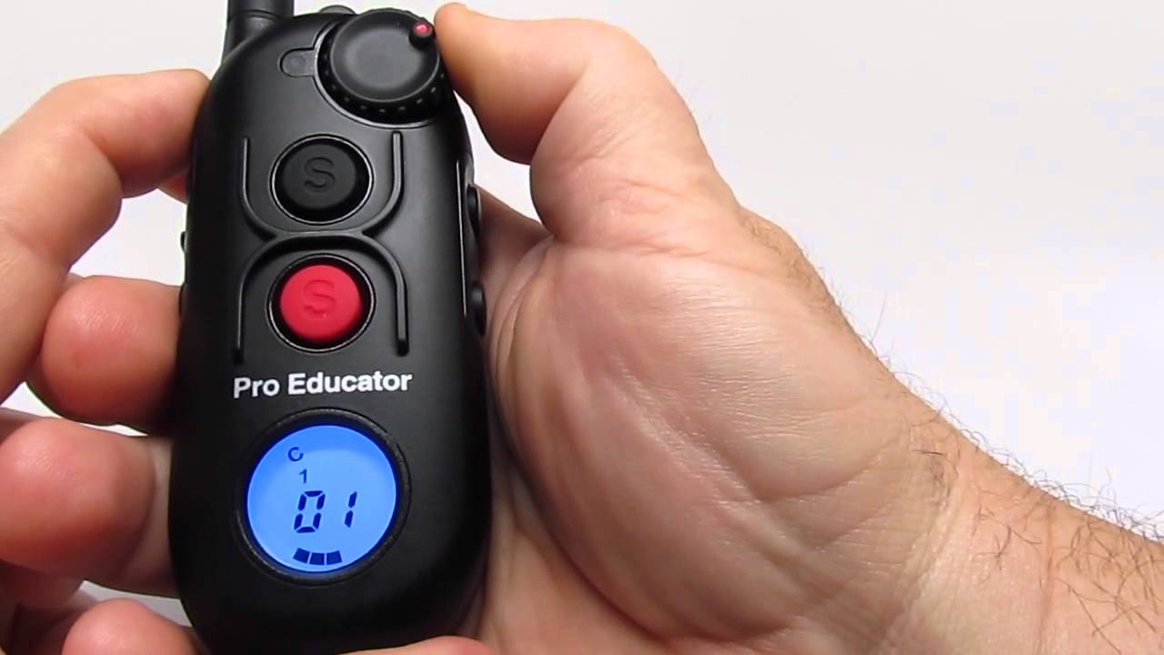 E-Collar Technologies Pro Educator PE-900 (How to Change Correction Levels)