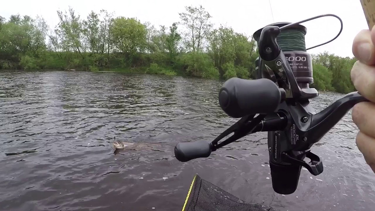 A nice 10 - 12lbs Salmon on the Border Esk at Canonbie today.