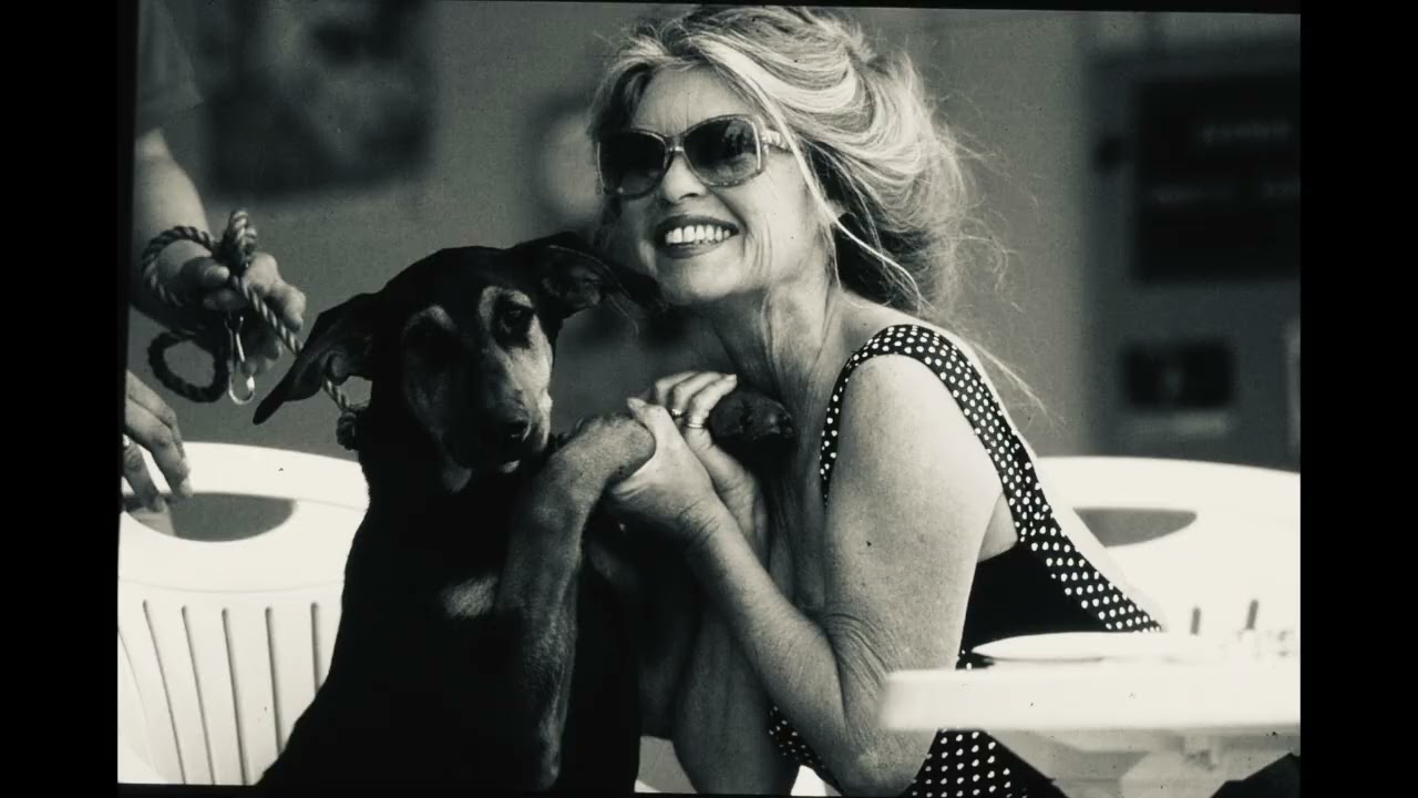 Éternelle Brigitte Bardot Hommage 