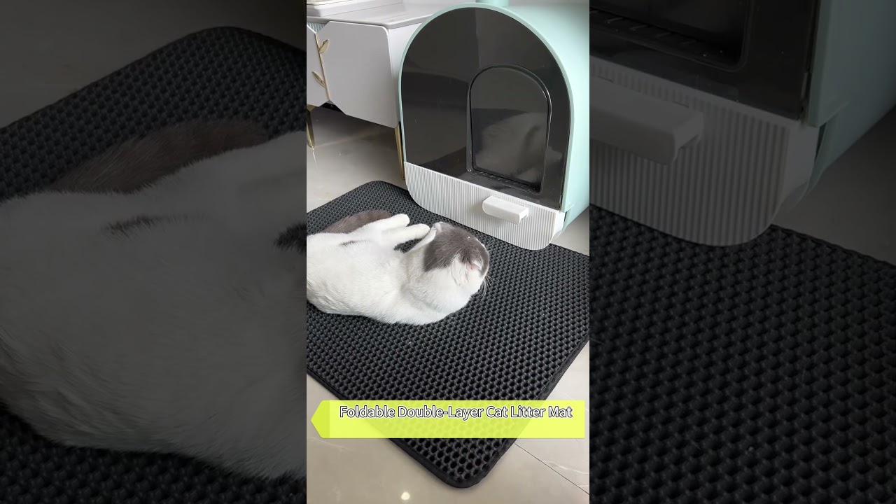Cat Double Litter Control Mat to prevent litter from getting all over the floor 