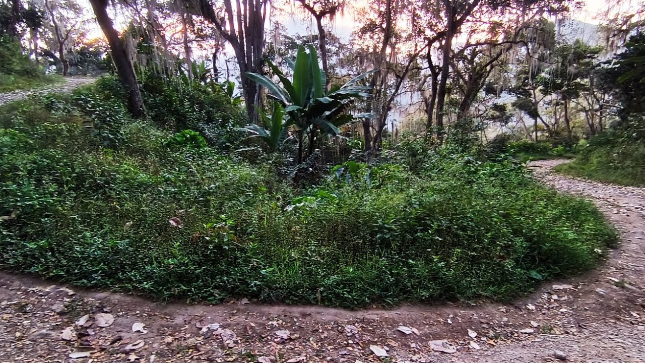 Un poco de MTB por Caripe Edo. Monagas