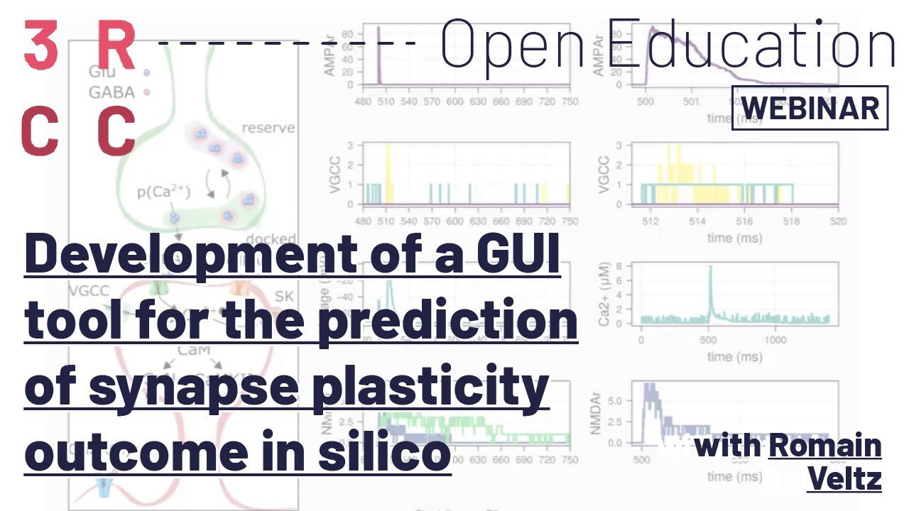 Development of a GUI tool for the prediction of synapse plasticity outcome in silico by Romain Veltz