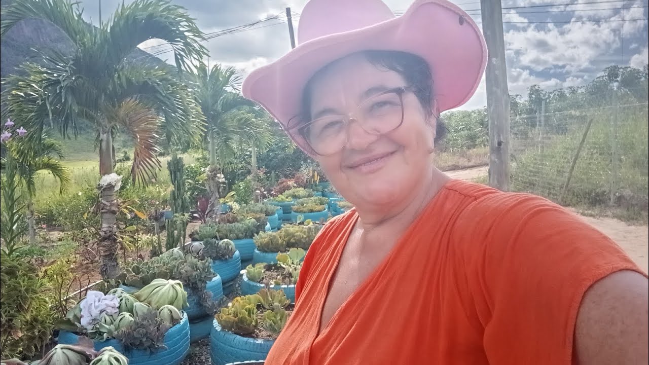 VENHAM VER,O QUE ACONTECEU, COM JARDIM DE SUCULENTAS!. 😱😨