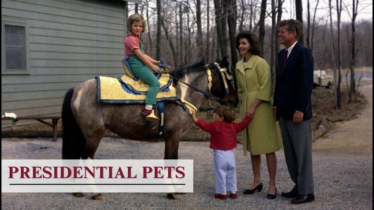 The White House 1600 Sessions: Presidential Pets