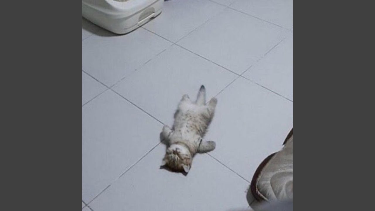 why did you leave?