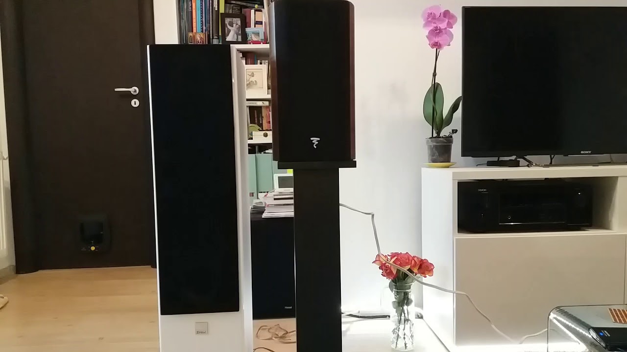 Dali Zensor 7  vs Focal 706 ( floorstander vs bookshelf/standmount)
