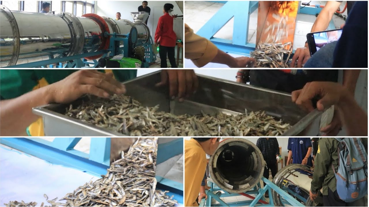 Pemasangan Rotary Dryer (Mesin Pengering) & Uji Tes Pada Ikan Teri Basah