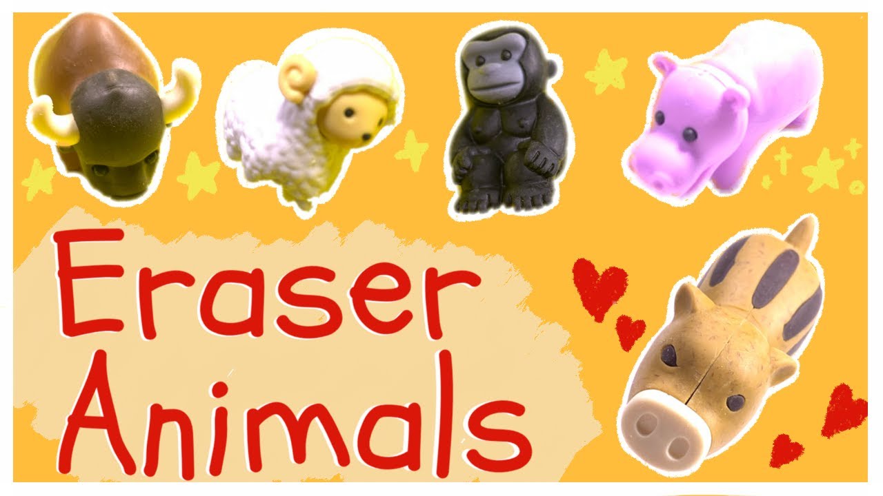Let's make eraser animals!