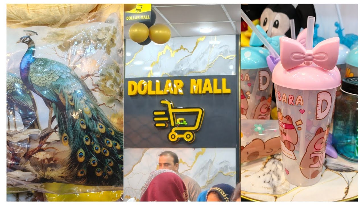 Phir Gaye Dollar Mall 😱 | Is Baar Sach Mein Paisa Vasool Nikla?
