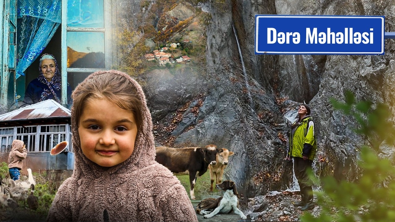 Burada heç kim xəstələnmir: yolu, mağazası olmayan, 4 ailənin yaşadığı Dərə kəndindən REPORTAJ